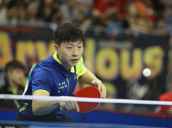 这些元素共 这些元素共